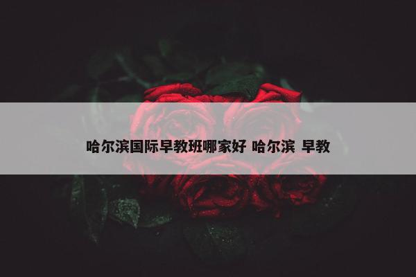 哈尔滨国际早教班哪家好 哈尔滨 早教