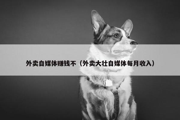 外卖自媒体赚钱不（外卖大壮自媒体每月收入）