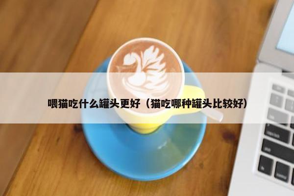 喂猫吃什么罐头更好（猫吃哪种罐头比较好）