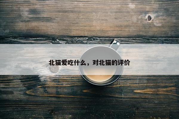 北猫爱吃什么，对北猫的评价