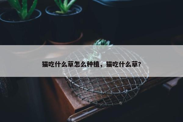 猫吃什么草怎么种植，猫吃什么草?