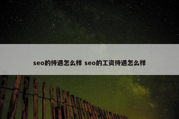 seo的待遇怎么样 seo的工资待遇怎么样