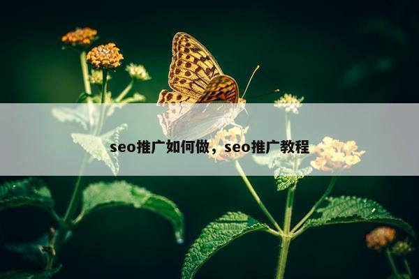 seo推广如何做，seo推广教程