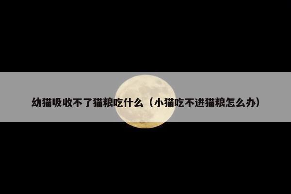 幼猫吸收不了猫粮吃什么（小猫吃不进猫粮怎么办）