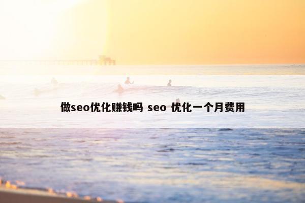 做seo优化赚钱吗 seo 优化一个月费用