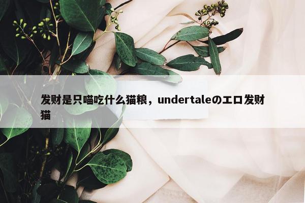 发财是只喵吃什么猫粮，undertaleのエロ发财猫