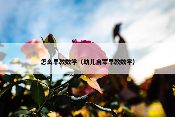 怎么早教数学（幼儿启蒙早教数学）