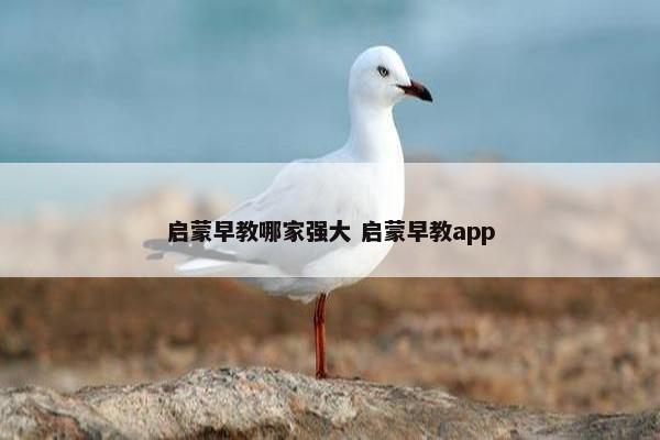 启蒙早教哪家强大 启蒙早教app