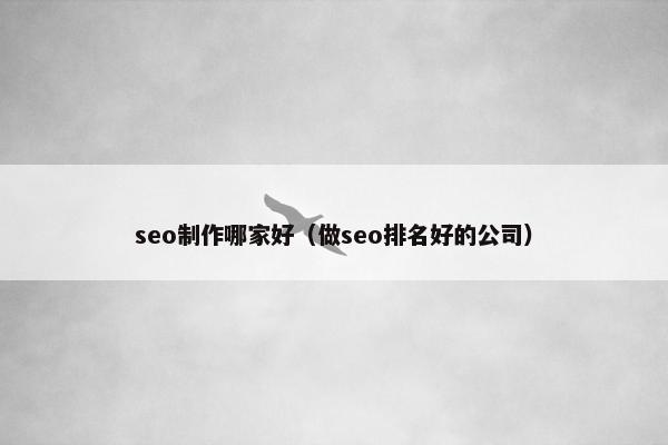 seo制作哪家好（做seo排名好的公司）