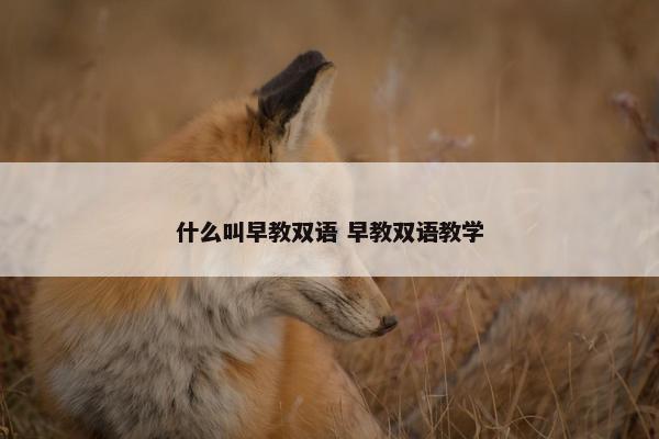 什么叫早教双语 早教双语教学