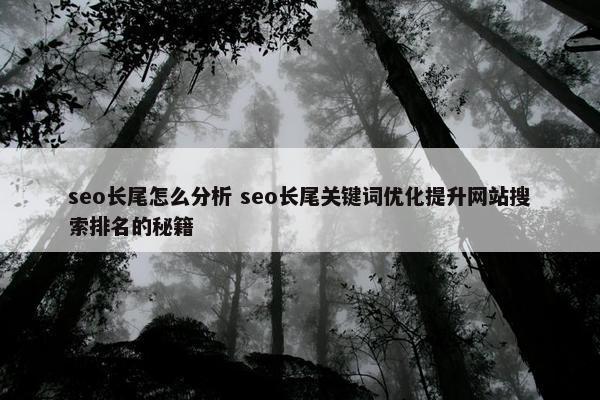 seo长尾怎么分析 seo长尾关键词优化提升网站搜索排名的秘籍