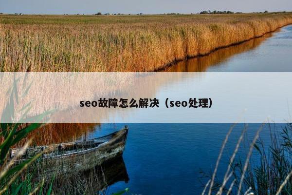 seo故障怎么解决（seo处理）