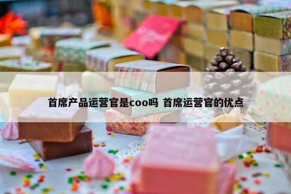 首席产品运营官是coo吗 首席运营官的优点