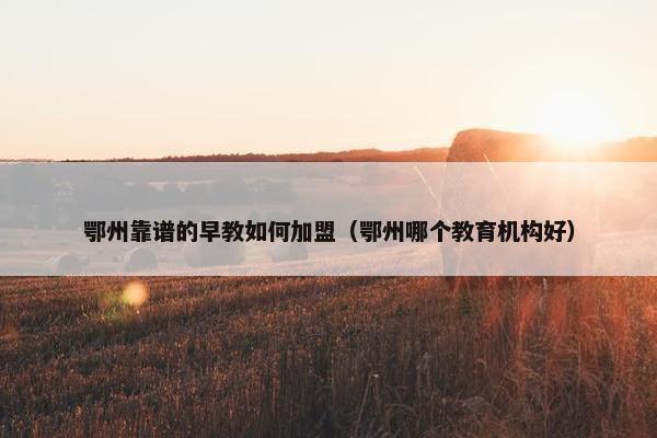 鄂州靠谱的早教如何加盟（鄂州哪个教育机构好）