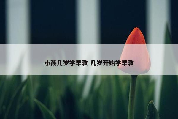 小孩几岁学早教 几岁开始学早教