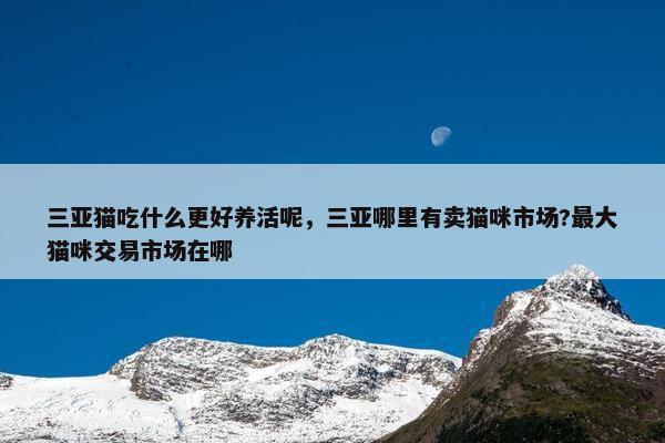 三亚猫吃什么更好养活呢，三亚哪里有卖猫咪市场?最大猫咪交易市场在哪