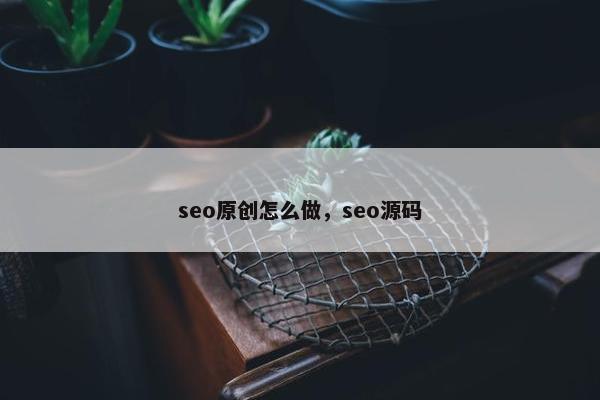 seo原创怎么做，seo源码