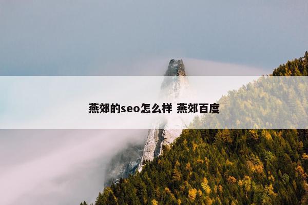 燕郊的seo怎么样 燕郊百度