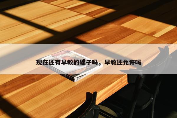 现在还有早教的碟子吗，早教还允许吗