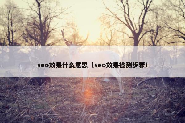 seo效果什么意思（seo效果检测步骤）