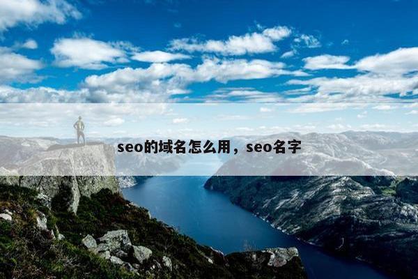 seo的域名怎么用，seo名字