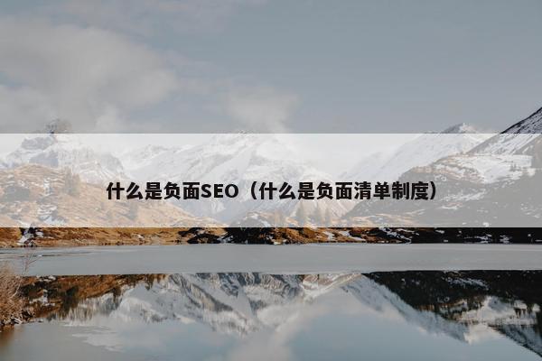 什么是负面SEO（什么是负面清单制度）