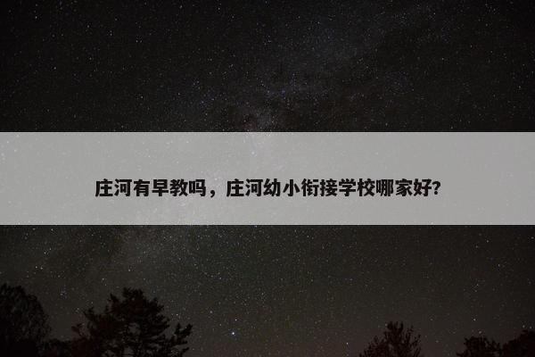 庄河有早教吗，庄河幼小衔接学校哪家好?