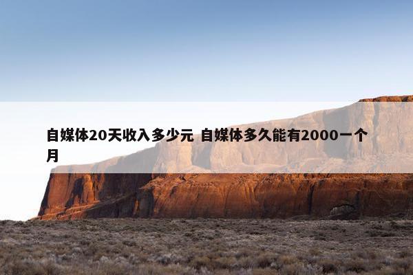 自媒体20天收入多少元 自媒体多久能有2000一个月