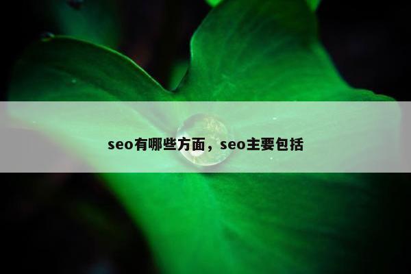 seo有哪些方面，seo主要包括