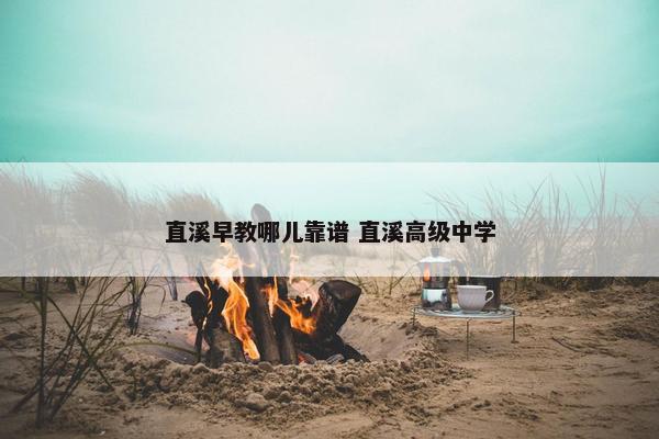 直溪早教哪儿靠谱 直溪高级中学