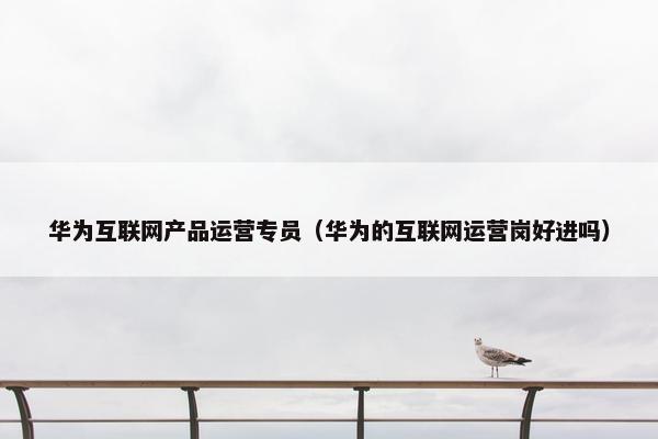 华为互联网产品运营专员（华为的互联网运营岗好进吗）