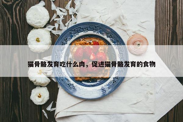 猫骨骼发育吃什么肉，促进猫骨骼发育的食物