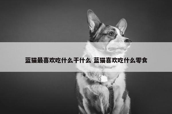 蓝猫最喜欢吃什么干什么 蓝猫喜欢吃什么零食