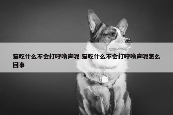 猫吃什么不会打呼噜声呢 猫吃什么不会打呼噜声呢怎么回事