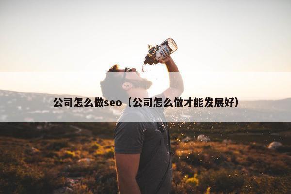 公司怎么做seo（公司怎么做才能发展好）