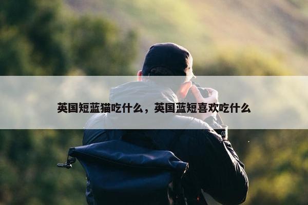 英国短蓝猫吃什么，英国蓝短喜欢吃什么