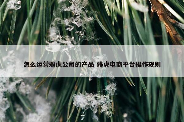 怎么运营雅虎公司的产品 雅虎电商平台操作规则