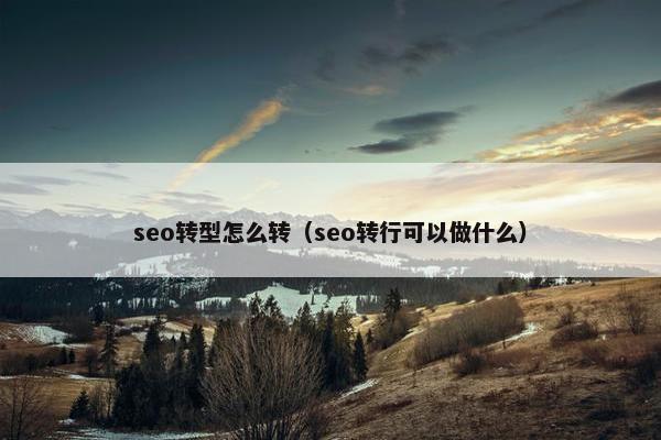 seo转型怎么转（seo转行可以做什么）