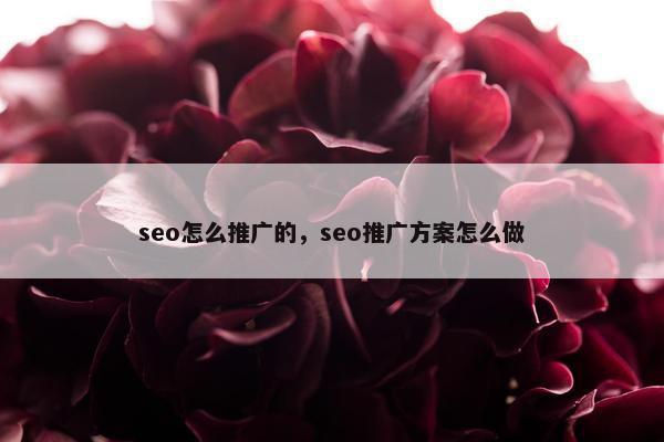 seo怎么推广的，seo推广方案怎么做