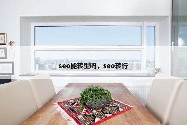 seo能转型吗，seo转行