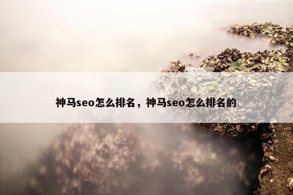 神马seo怎么排名，神马seo怎么排名的