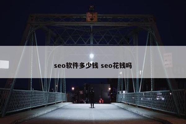 seo软件多少钱 seo花钱吗