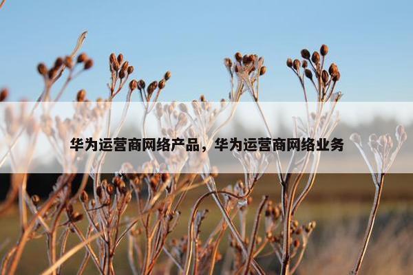 华为运营商网络产品，华为运营商网络业务