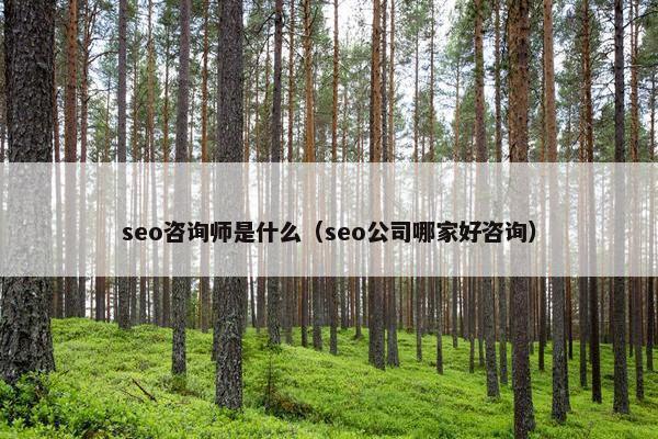 seo咨询师是什么（seo公司哪家好咨询）