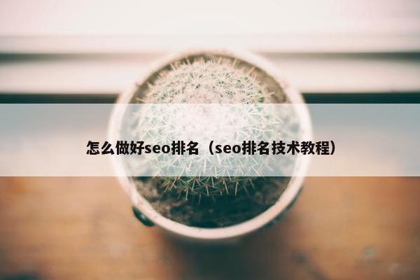 怎么做好seo排名（seo排名技术教程）