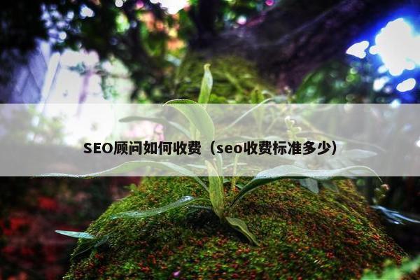 SEO顾问如何收费（seo收费标准多少）