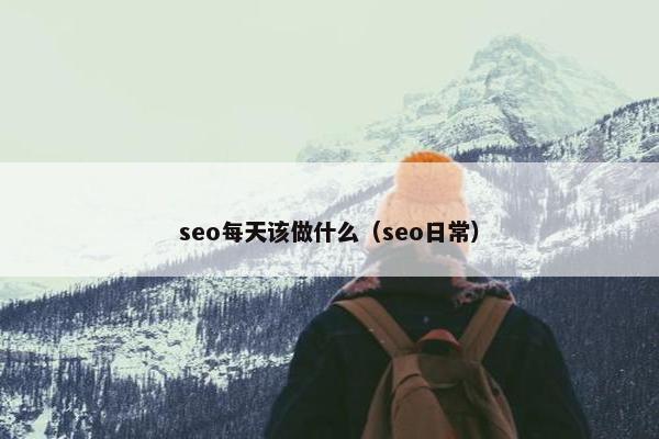 seo每天该做什么（seo日常）