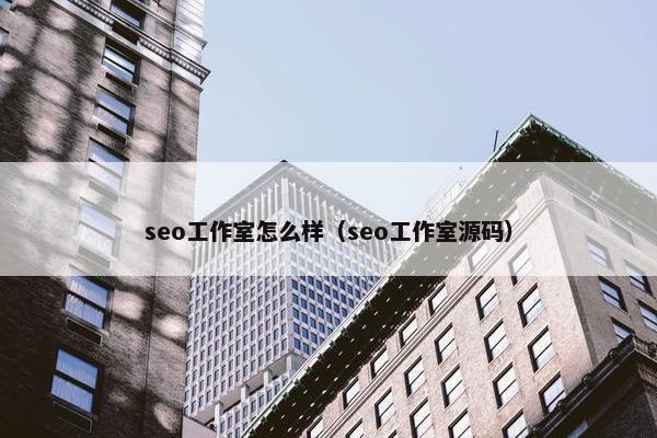 seo工作室怎么样（seo工作室源码）