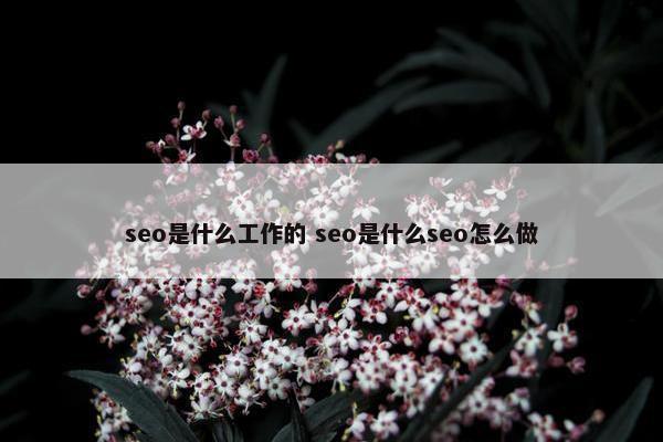 seo是什么工作的 seo是什么seo怎么做