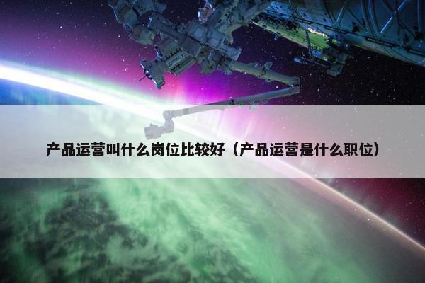 产品运营叫什么岗位比较好（产品运营是什么职位）